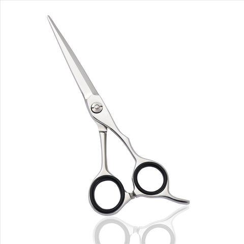 Shiny Silver Polish Pro Cutting Scissor